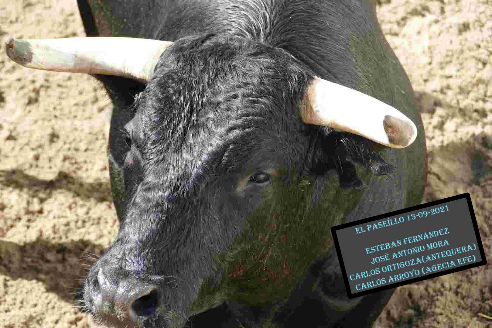 El Paseillo 13-09-2021